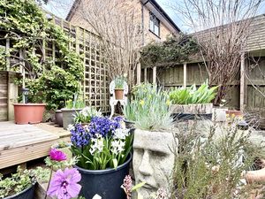 Garden- click for photo gallery